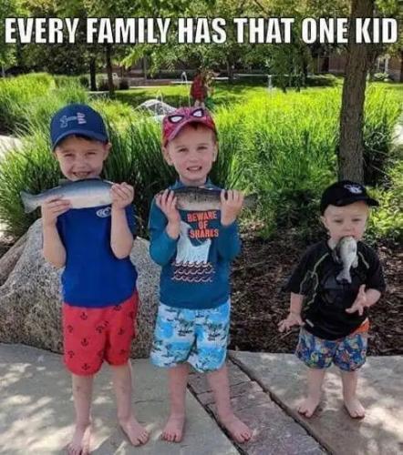 323B2D23-F49F-4D9D-8B2B-0E7472A99F58