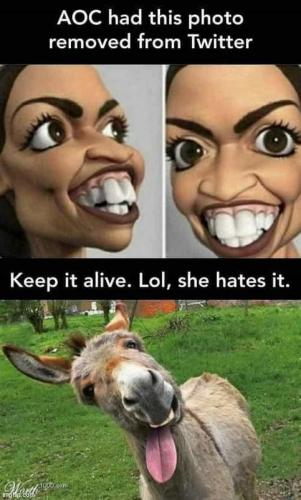 AOC Jackass