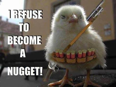 108851410_10157775152393842_6283601444589568779_n