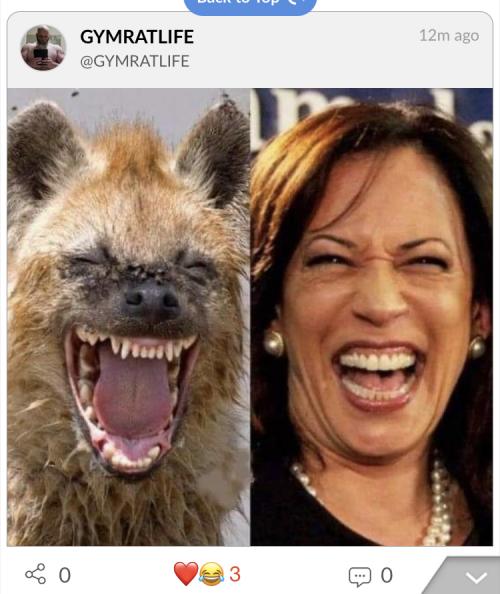 19116DB4-5095-4AB0-B2D5-0E3ABD10FFD2