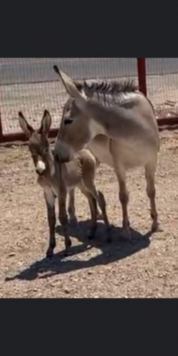 Screenshot_20210703-133054