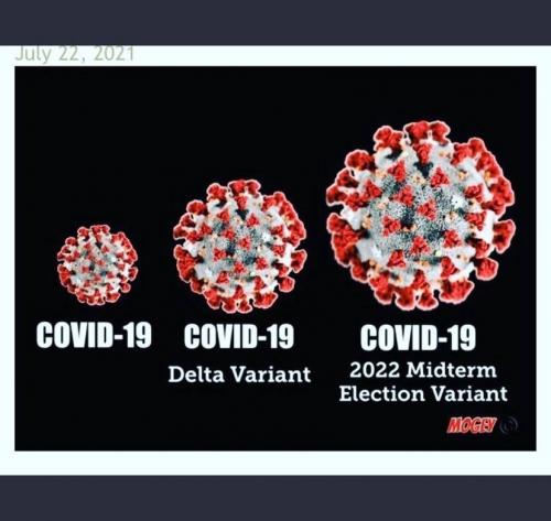 c8579e81-271b-407d-8ec0-6c4f7d332ecc