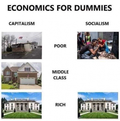 image_2021-07-25_175036