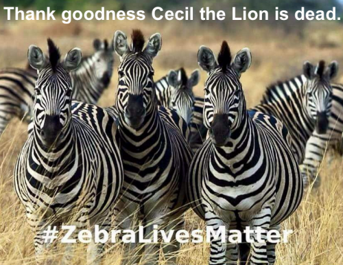 Thank goodness Cecil the Lion is dead.