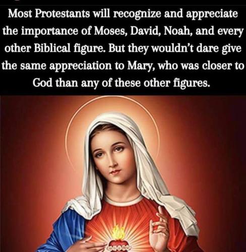 FB_IMG_1627435460655