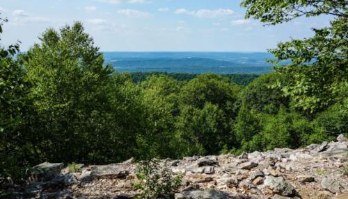 Screenshot_20210725-012158