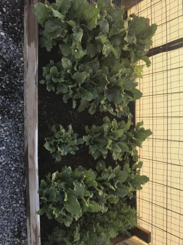 C8F21018-3837-45AF-AB60-CBD62E28BEE3