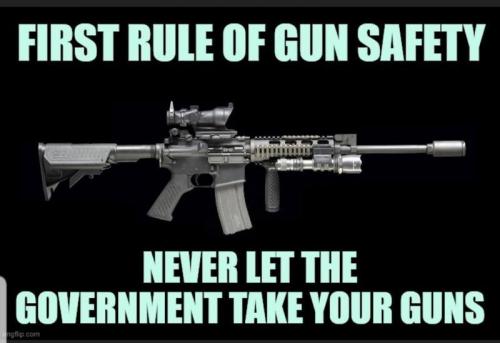 gunsafety
