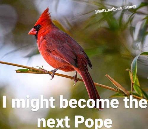 FB_IMG_1626545828531