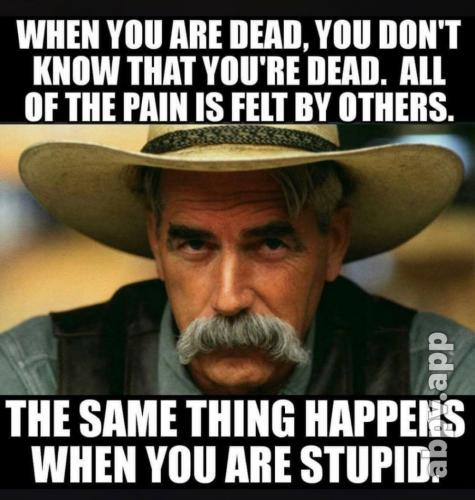 B8CF537D-2FFA-4D99-A828-5B5757D25657