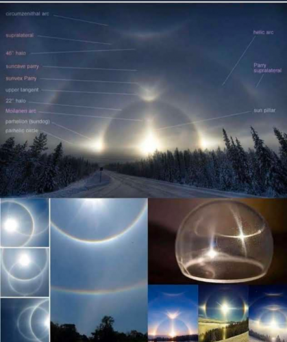 Screenshot_20210727-084026-441