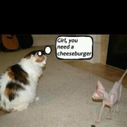 109934805_10157786673358842_8494138360116186816_n