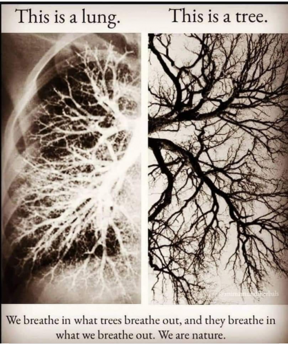 Screenshot_20210722-125931-888