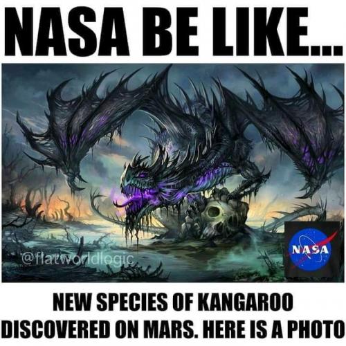 FB_IMG_1627246836943