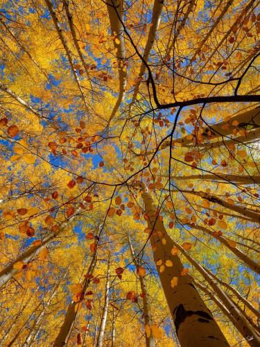 130190168_10158109203803842_9024393927571820519_n