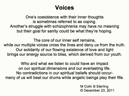 Voices Pic