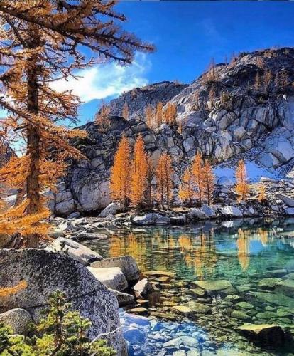 170043660_10158393488793842_3875890430909579253_n