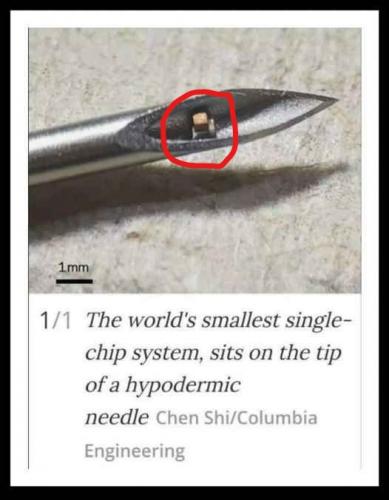 MARK OF THE BEAST_LI