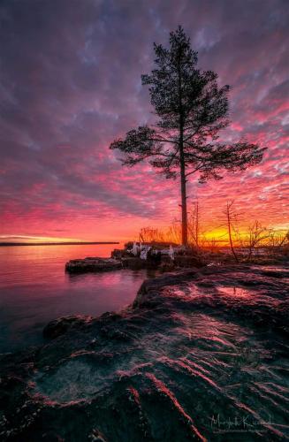 FB_IMG_1608050077732