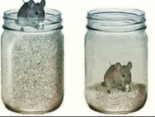 ABFC7CA4-44E5-4D4D-8545-10D66C22C848