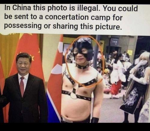 243735C3-8602-47CA-8351-FB197094D120