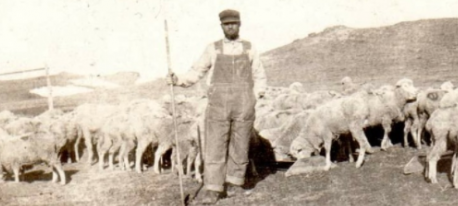 4825933b697b194dc0338e78c86a8e28_500~2