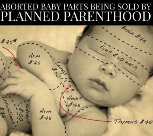 36E49BF0-C130-4914-9675-56E14CE8FDEE