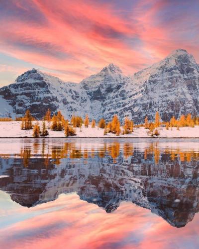 FB_IMG_1607292237791