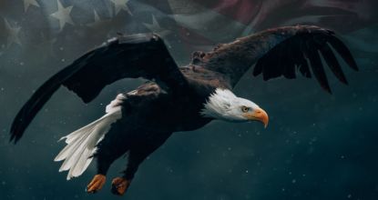 6CB31F6D-B4B4-4BB9-A7BF-AA73D4F76D7C