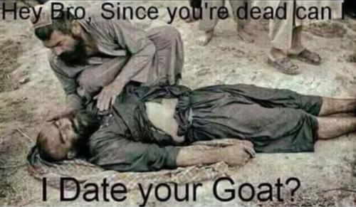 Screenshot_20210705-061241_MeWe