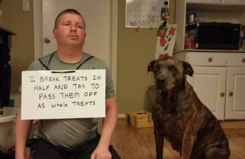 FB_IMG_1603236423046