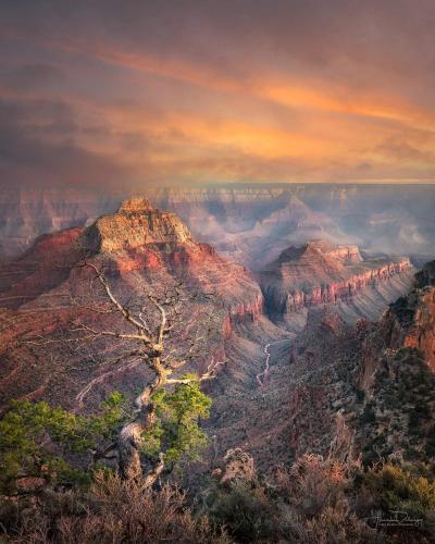 FB_IMG_1616516009332