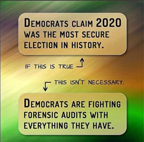 DemocratAudit1