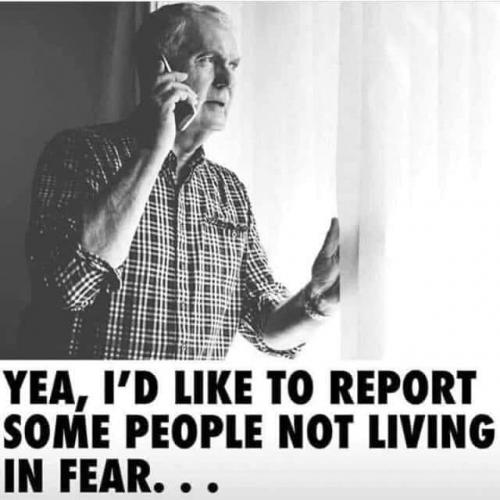 9bf2c51c5d753fada246306b47a1bae3_1024