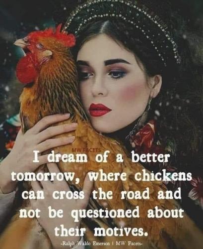 E4A7F6A4-D807-4EC9-8E52-38802E27D002