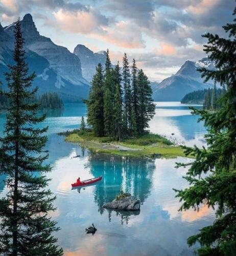 174622551_10158409446808842_5033867013841182057_n