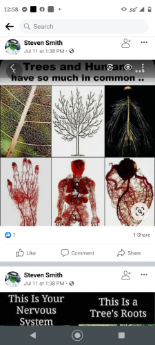 Screenshot_20210722-125846