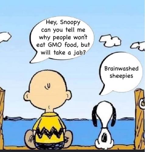 62F589AE-2A65-4EC2-9AF5-781442DDF691