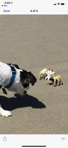 D4383DA3-4FDE-4CEC-84A7-8221EAC4327B