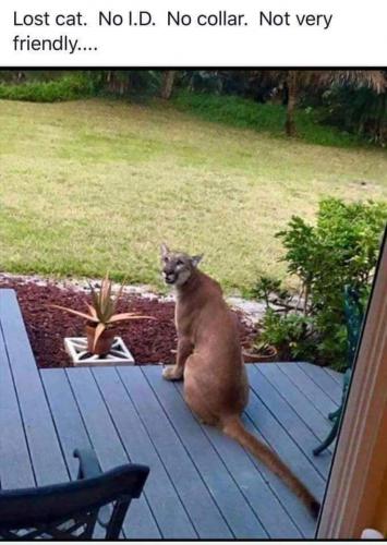 FB_IMG_1598159394287