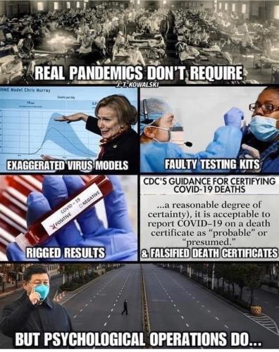 real-pandemics