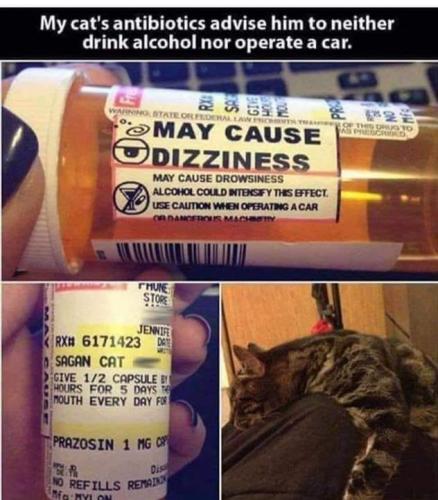 118868585_10157899314808842_2302927812060674772_n