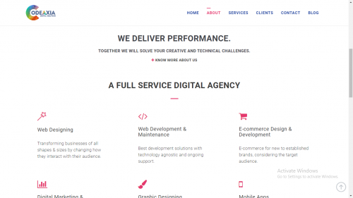 codeaxia digital solutions - 1300