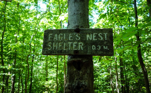 Screenshot_20210725-012605