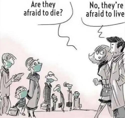 8C74A908-E983-4D2D-8423-F8D71F78A084