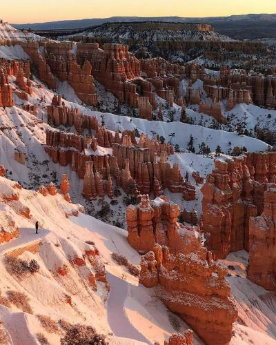 FB_IMG_1606273371823