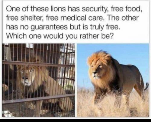 5AE9242C-33CB-4CAC-ACD9-ADE3F3FFC0BA