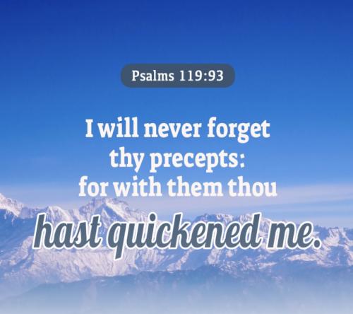 Psalm 119:93