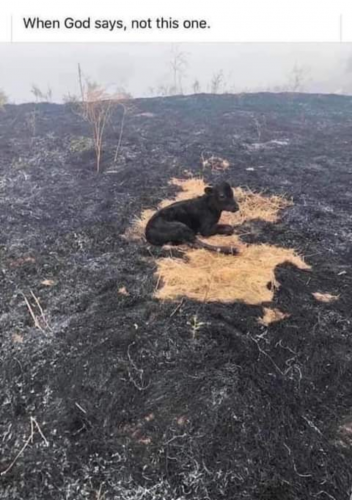 Screenshot_20210724-195123-358