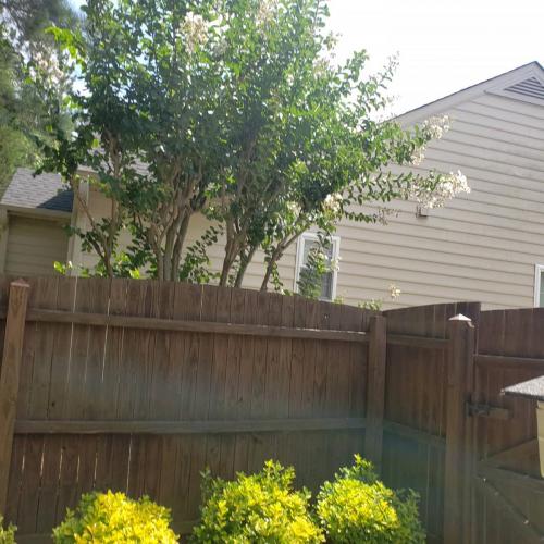 IMG_20210711_150757_886